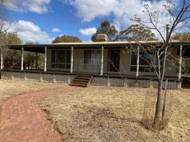 Farm For Sale - NSW - Griffith - 2680 - "SUNRISE"  QUALITY RED LOAM FARMING  929 acres and 329 acres with piped water scheme to both  (Image 2)