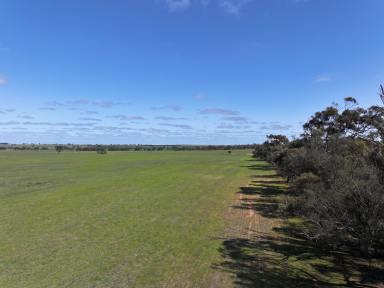 Farm For Sale - VIC - Kaniva - 3419 - "Austins"  (Image 2)