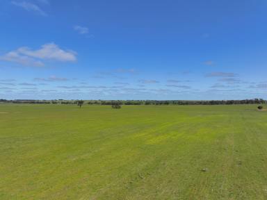 Farm For Sale - VIC - Kaniva - 3419 - "Austins"  (Image 2)