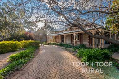 Farm For Sale - SA - Jamestown - 5491 - Majestic Heritage Home in the Scenic Mid-North  (Image 2)