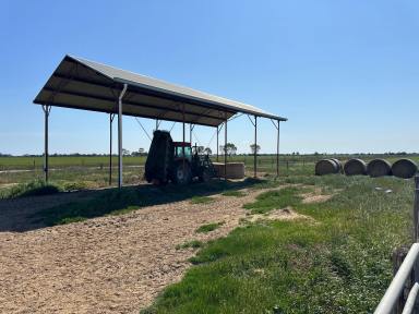 Farm For Sale - VIC - Cohuna - 3568 - Exceptional Grazing & Cropping Property Near Cohuna  (Image 2)