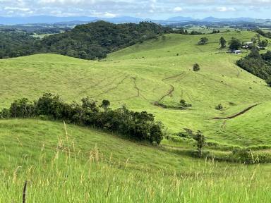 Farm For Sale - QLD - Tarzali - 4885 - Beef & Lifestyle Package - Stunning Views  (Image 2)