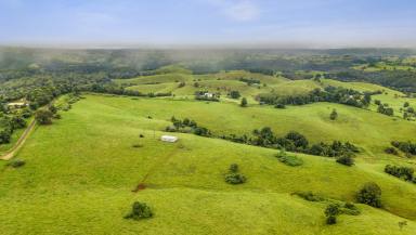 Farm For Sale - QLD - Tarzali - 4885 - Beef & Lifestyle Package - Stunning Views  (Image 2)