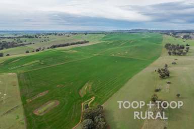 Farm For Sale - SA - Bangor - 5481 - Blue Chip Arable Investment  (Image 2)