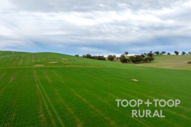 Farm For Sale - SA - Bangor - 5481 - Blue Chip Arable Investment  (Image 2)