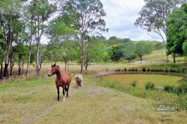 Farm For Sale - QLD - Netherby - 4650 - THE ULTIMATE PROPERTY FOR LIFESTYLE LIVING!  (Image 2)