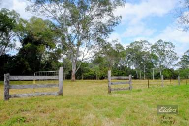 Farm For Sale - QLD - Netherby - 4650 - YOUR OPPORTUNITIES AWAIT YOU!  (Image 2)