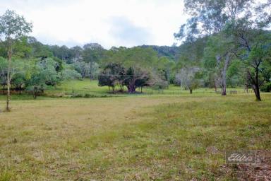 Farm For Sale - QLD - Netherby - 4650 - YOUR OPPORTUNITIES AWAIT YOU!  (Image 2)