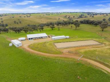 Farm For Sale - NSW - Young - 2594 - Modern New Home On 156acs With Excellent Infrastructure  (Image 2)