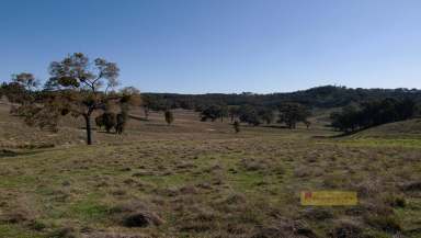 Farm For Sale - NSW - Mudgee - 2850 - 'MARBIL PARK'  (Image 2)