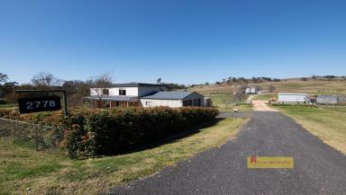 Farm Auction - NSW - Mudgee - 2850 - 'MARBIL PARK'  (Image 2)