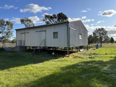 Farm Tender - NSW - Henty - 2658 - Country Lifestyle - Midway Between Albury & Wagga Wagga  (Image 2)