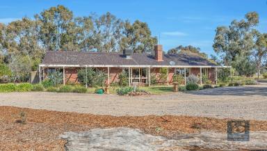 Farm For Sale - NSW - Moama - 2731 - Rural living in town  (Image 2)