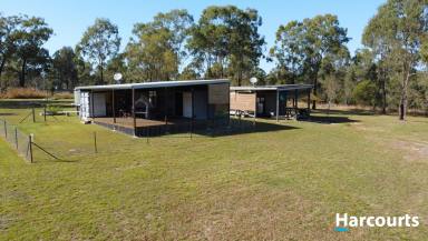 Farm For Sale - QLD - Booyal - 4671 - 100 Acres of Rural Bliss!!  (Image 2)