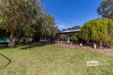 Farm For Sale - VIC - Eagle Point - 3878 - The Billabong: Your Ideal Blend of Relaxation and Recreation  (Image 2)