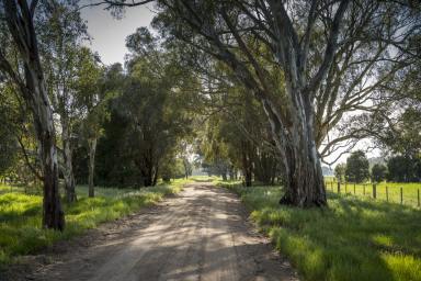 Farm For Sale - VIC - Benalla - 3672 - Versatile farming block or ideal lifestyle property with conservation credentials  (Image 2)