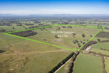 Farm For Sale - VIC - Benalla - 3672 - Versatile farming block or ideal lifestyle property with conservation credentials  (Image 2)