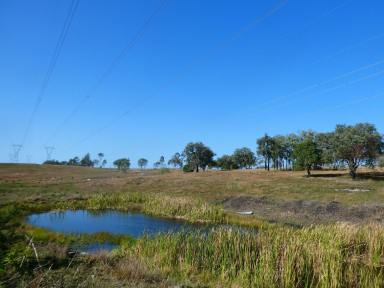 Farm For Sale - QLD - Teebar - 4620 - "COW PADDOCK" GRAZING OR LARGE LIFESTYLE BLOCK  (Image 2)