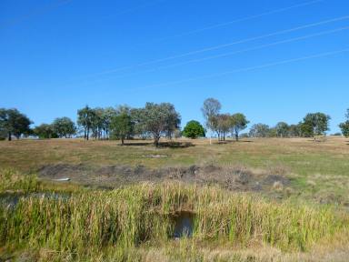 Farm For Sale - QLD - Teebar - 4620 - "COW PADDOCK" GRAZING OR LARGE LIFESTYLE BLOCK  (Image 2)