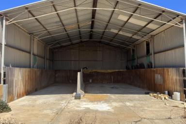 Farm For Sale - WA - Binnu - 6532 - 'North Star'  (Image 2)