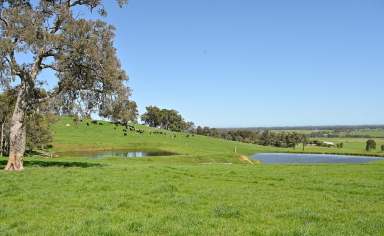 Farm For Sale - WA - Brunswick - 6224 - First Time Offered In 84 Years!  (Image 2)