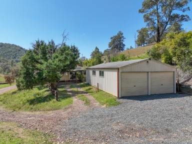 Farm For Sale - NSW - Wherrol Flat - 2429 - Fantastic Grazing Block  (Image 2)