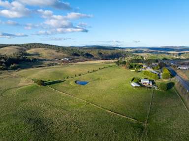 Farm For Sale - NSW - Oberon - 2787 - “Ridgeview” Oberon Land Bank (35 Hectares - 87 Acres*)  (Image 2)