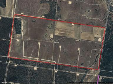 Farm Auction - QLD - Ducklo - 4405 - WIWIO  Grazing Opportunity  (Image 2)