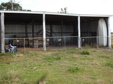 Farm Auction - QLD - Ducklo - 4405 - WIWIO  Grazing Opportunity  (Image 2)