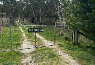 Farm Auction - NSW - Fosters Valley - 2795 - "Black Mountain Falls" - Beautiful Vacant Block, with Dwelling Entitlement  (Image 2)