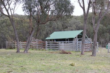 Farm Auction - NSW - Fosters Valley - 2795 - "Black Mountain Falls" - Beautiful Vacant Block, with Dwelling Entitlement  (Image 2)