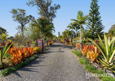 Farm For Sale - QLD - Torbanlea - 4662 - 5 Acre Property with Dual Living Potential  (Image 2)