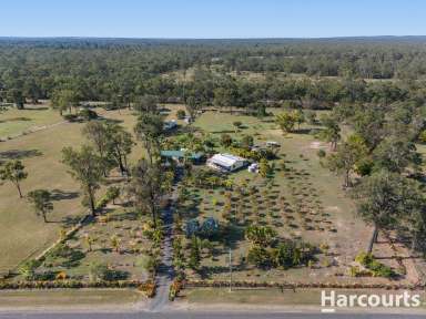 Farm Sold - QLD - Torbanlea - 4662 - Submitting all offers for consideration!  (Image 2)