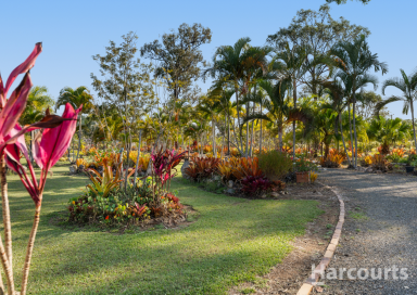 Farm For Sale - QLD - Torbanlea - 4662 - 5 Acre Property with Dual Living Potential  (Image 2)