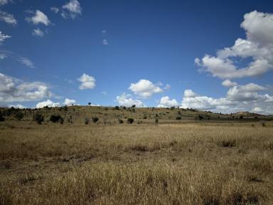 Farm For Sale - QLD - Biloela - 4715 - Kooingal Park  (Image 2)