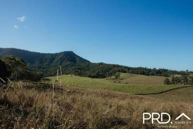 Farm For Sale - NSW - Wiangaree - 2474 - 100 Acre Lot  (Image 2)