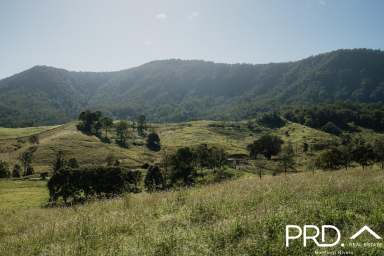 Farm For Sale - NSW - Wiangaree - 2474 - 100 Acre Lot  (Image 2)