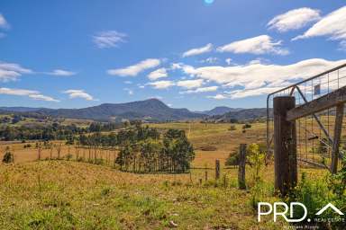 Farm For Sale - NSW - Wiangaree - 2474 - Picturesque Small Farm Lot  (Image 2)