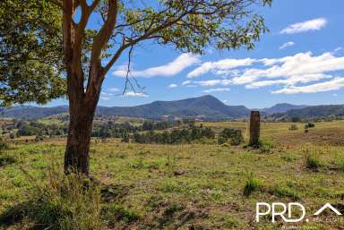 Farm For Sale - NSW - Wiangaree - 2474 - Picturesque Small Farm Lot  (Image 2)