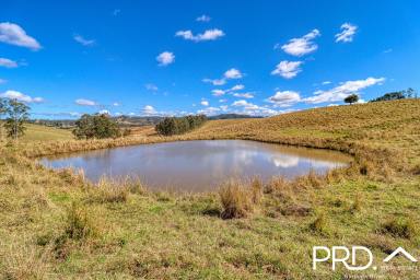 Farm For Sale - NSW - Wiangaree - 2474 - Picturesque Small Farm Lot  (Image 2)