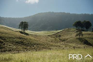 Farm For Sale - NSW - Wiangaree - 2474 - 175 Acre Lot  (Image 2)