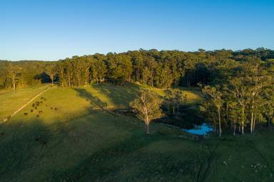 Farm For Sale - NSW - Topi Topi - 2423 - A peaceful coastal bush retreat  (Image 2)