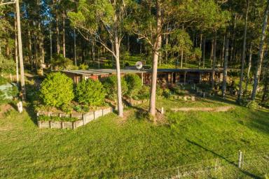 Farm For Sale - NSW - Topi Topi - 2423 - A peaceful coastal bush retreat  (Image 2)