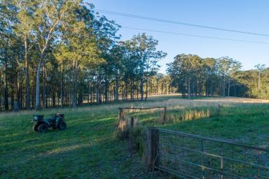 Farm For Sale - NSW - Topi Topi - 2423 - Bungwahl  - Toppi Toppi  (Image 2)