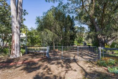 Farm For Sale - WA - Muchea - 6501 - "Eclectic Oasis"  (Image 2)