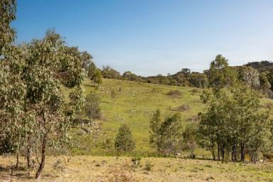 Farm For Sale - VIC - Sedgwick - 3551 - Exceptional Block Amongst Picturesque Surrounds  (Image 2)