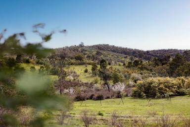 Farm For Sale - VIC - Sedgwick - 3551 - Exceptional Block Amongst Picturesque Surrounds  (Image 2)