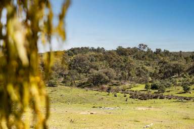 Farm For Sale - VIC - Sedgwick - 3551 - Exceptional Block Amongst Picturesque Surrounds  (Image 2)