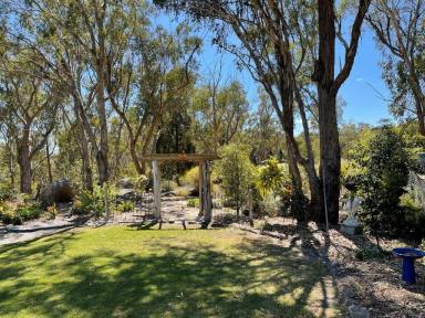 Farm For Sale - QLD - Stanthorpe - 4380 - “A property dreams are made of”  (Image 2)