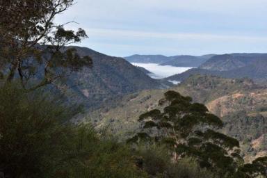 Farm For Sale - NSW - Wombeyan Caves - 2580 - A Once-in-a-Lifetime Opportunity - Within the Blue Mountains National Park  (Image 2)